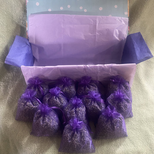 Lavender Sachet Box of 12
