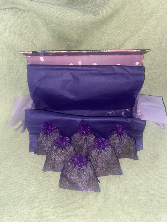 Lavender Sachet Box of 6